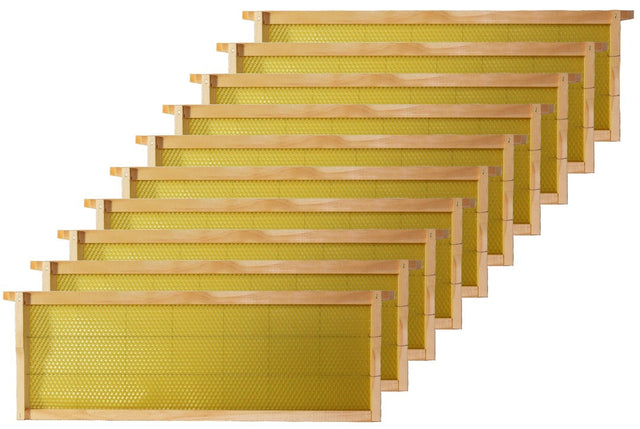 Wired Wax Frames