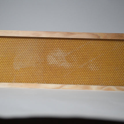 Medium Plasticell Frames