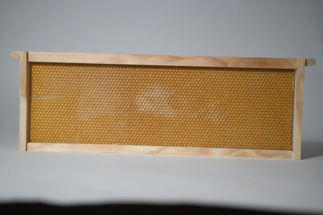 Medium Plasticell Frames