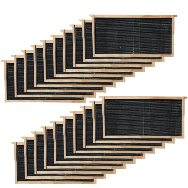 Deep Plasticell Frames