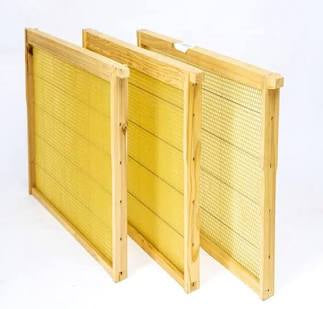 Wired Wax Deep Frames