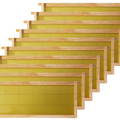 Collection image for: Bee Frames