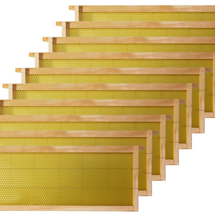 Wired Wax Medium Frames